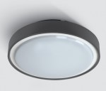 Berry LED přisazené 30W, 3K, 1800lm, 230V, IP65, antracit