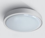 Berry LED přisazené 30W, 3K, 1800lm, 230V, IP65, bílá