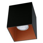 Ceiling light 