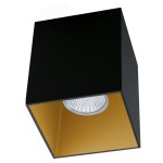 Ceiling light 