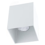 Ceiling light 