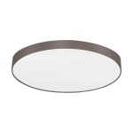 Ceiling luminaire 