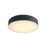 Daria II LED 20W 1300lm 3000K-6500K 230V IP65 IK06 anthracit