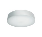 Daria II LED 21W, 3000K, 1300lm, IP65, white