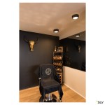 FERA 25 CL DALI, Indoor, stropní LED svítidlo, černé