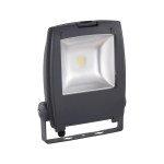 Floodlight Gambettola Pro 50W 6500K anthracite (RAL7016)