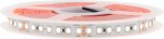 FS 50 ECO UWW, 11W/m, 1270lm/m, 2500K Ra90+, 24VDC, IP20, 5m
