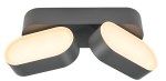 LEA LED Double 13W 600lm 3000K IP54 antracit
