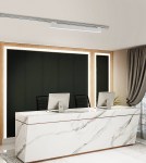 LINE 50 liniové svítidlo 3Fáz. 29W 2777lm 830, stříbrná