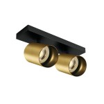 Luice GU10 2x10W 220-240V IP20 brushed brass