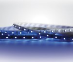 Marra LED Strip 4,8W/m 60LEDs/m 24VDC modrá IP20
