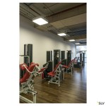 MEDO 60 SQUARE LED, stropní svítidlo, bílá, 1-10V, 3000K