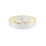 MEDO PRO 40, 3000/4000K, 19W, DALI, 80°, UGR<19, bílá