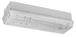 Nouzové sv. C1 SECURO 24 PRO HP-LED 24V DC