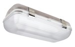 Nouzové sv. LINDA Transparant 5W /840 230 V AC/DC