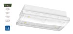 Nouzové sv. PM ERT-LED 230V AC/DC, adresné dohl., stropní m.