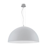 Pendant luminaire 