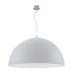 Pendant luminaire 