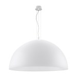 Pendant luminaire 