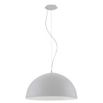Pendant luminaire 