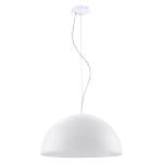 Pendant luminaire 