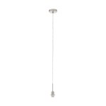 Pendant luminaire 