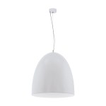 Pendant luminaire 