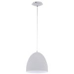 Pendant luminaire 