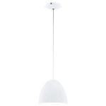 Pendant luminaire 