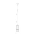 Pendant luminaire 