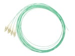 Pigtail LC 50/125µm OM3, Easy Strip, délka 2m, aqua, 4ks