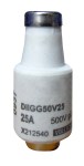 Pojistka 25A