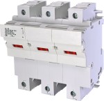 Pojistkový odpínač 3P+L,100A-850001648