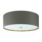 Shade for Pasteri Pro cappuccino/gold