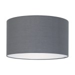 Shade for Pendant luminaire 