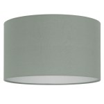 Shade for Pendant luminaire 