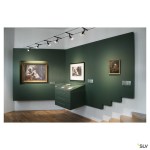 SYROS, cable luminaire for TENSEO, QR-C51, black