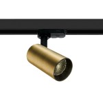 Terni LED 12W 1000lm 3000K 36° 230V IP20 brushed brass