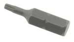 Torx Bit TX8 für Endkappenschrauben